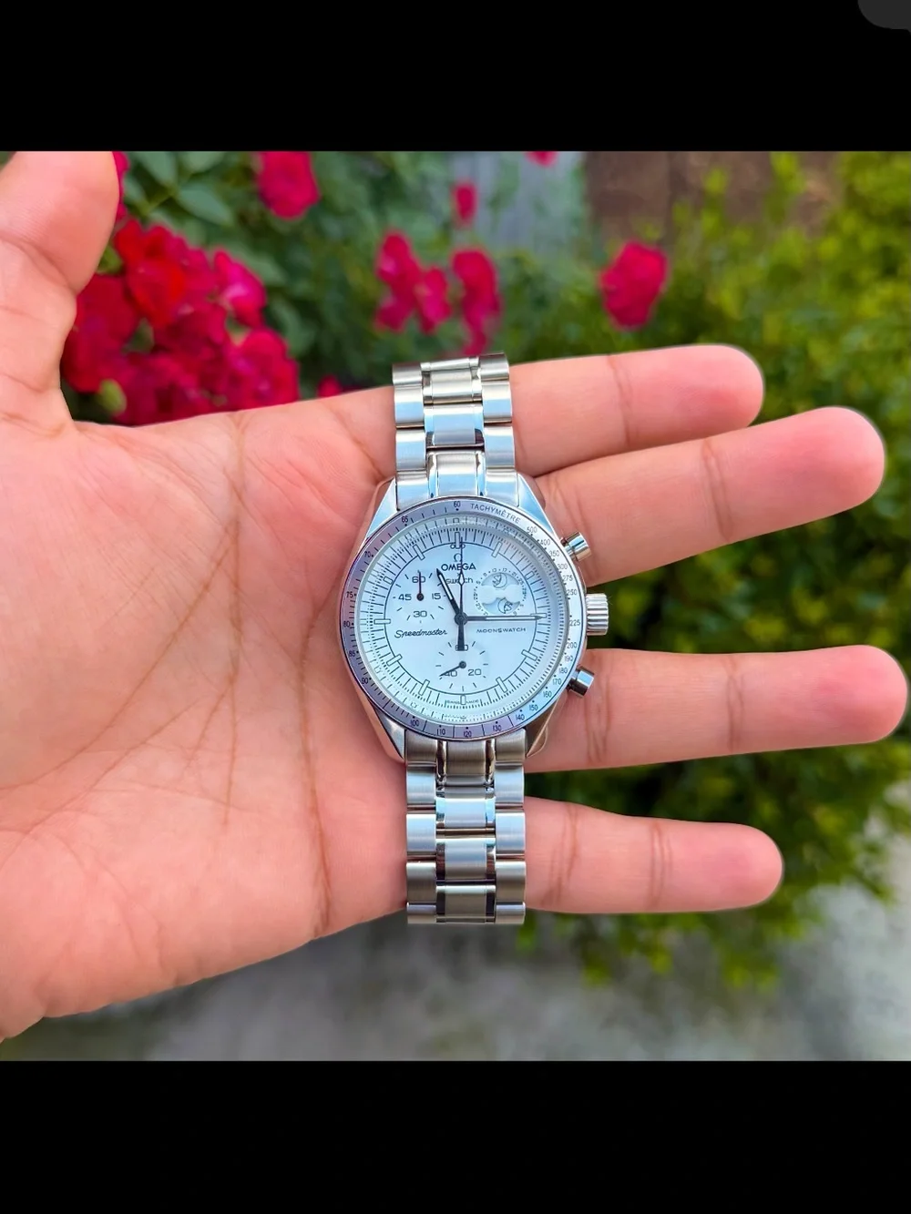 Omega Speedmaster MoonSwatch
